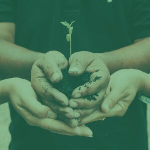 Give